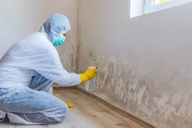 Best Mold Removal for HVAC Installations in De Leon, TX